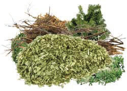 Green waste - clipping and trimmings
